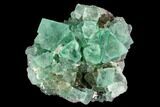 Green Fluorite Crystal Cluster - South Africa #111572-1